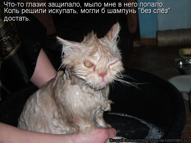Котоматрица: Что-то глазик защипало, мыло мне в него попало. Коль решили искупать, могли б шампунь "без слёз" достать.