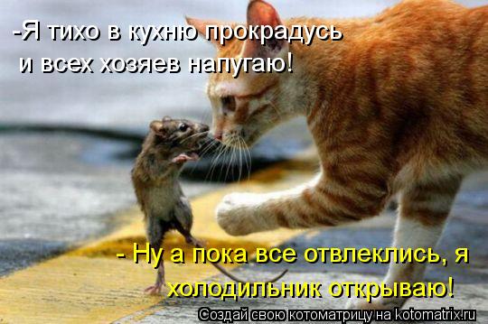 Котоматрица: -Я тихо в кухню прокрадусь и всех хозяев напугаю!  - Ну а пока все отвлеклись, я холодильник открываю!