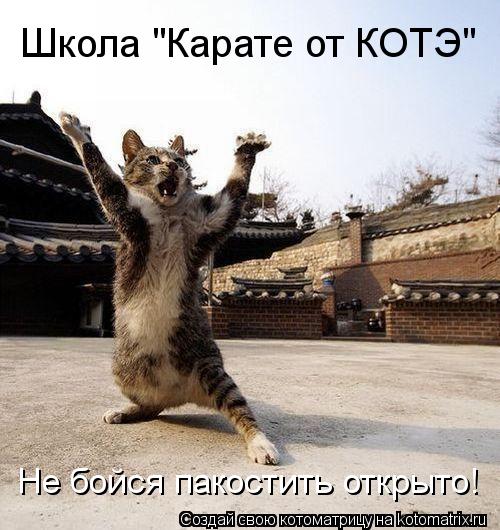 Котоматрица: Школа "Карате от КОТЭ" Не бойся пакостить открыто!