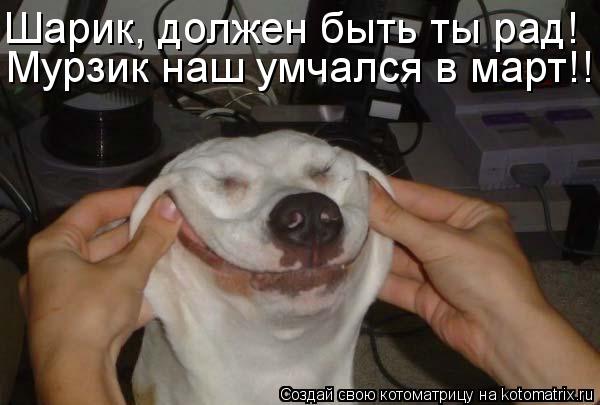 Котоматрица: Мурзик наш умчался в март!!!! Шарик, должен быть ты рад!