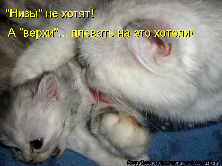"Низы" не хотят! А "верхи"... плевать на это хотели!... Котоматрица: "Низы" не хотят! А "верхи"... плевать на это хотели!