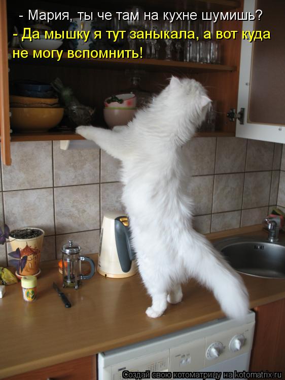 Котоматрица: - Мария, ты че там на кухне шумишь? - Да мышку я тут заныкала, а вот куда не могу вспомнить!