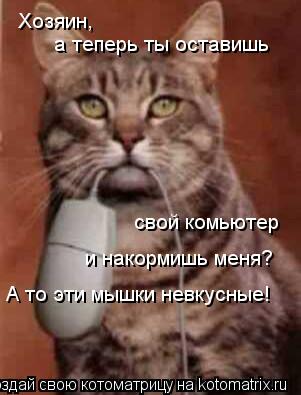 Котоматрица: Хозяин,  а теперь ты оставишь свой комьютер  и накормишь меня? А то эти мышки невкусные!