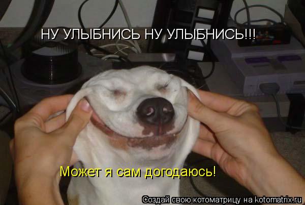 Котоматрица: НУ УЛЫБНИСЬ НУ УЛЫБНИСЬ!!! Может я сам догодаюсь!