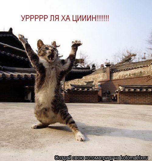 Котоматрица: УРРРРР ЛЯ ХА ЦИИИН!!!!!!!