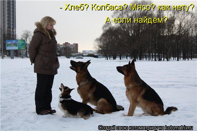 Котоматрица: - Хлеб? Колбаса? Мясо? как нету? А если найдём?