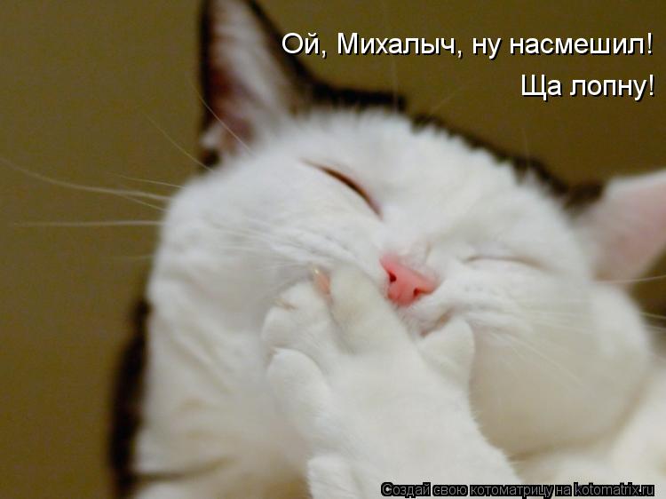 Котоматрица: Ой, Михалыч, ну насмешил! Ща лопну!