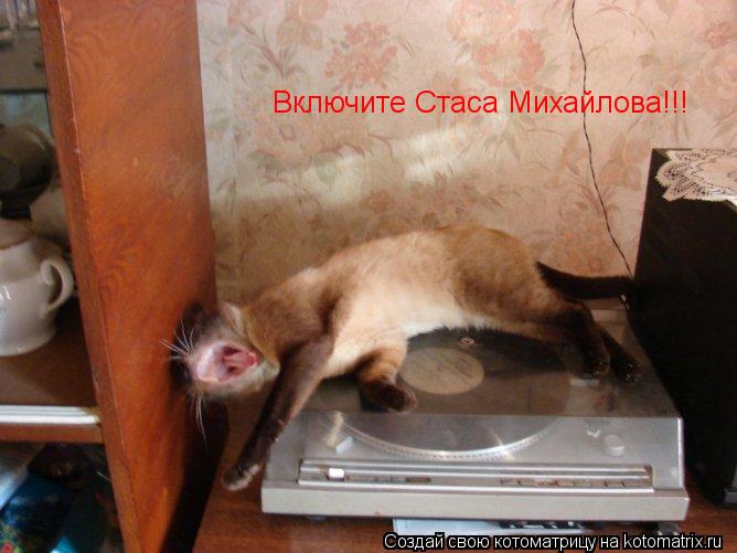Котоматрица: Включите Стаса Михайлова!!!