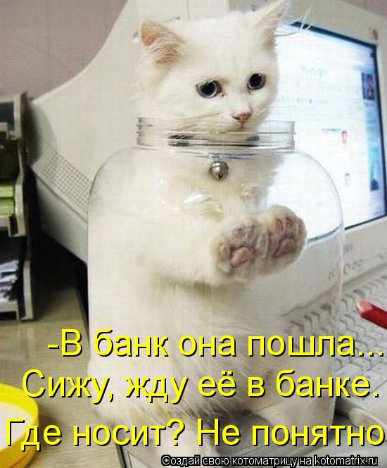 -В банк она пошла... Сижу, жду её в банке. Где носит? Не понятно... Котоматрица: -В банк она пошла... Сижу, жду её в банке. Где носит? Не понятно