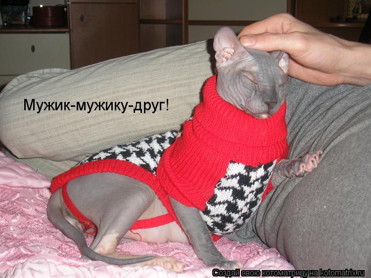 Мужик-мужику-друг!... Котоматрица: Мужик-мужику-друг!