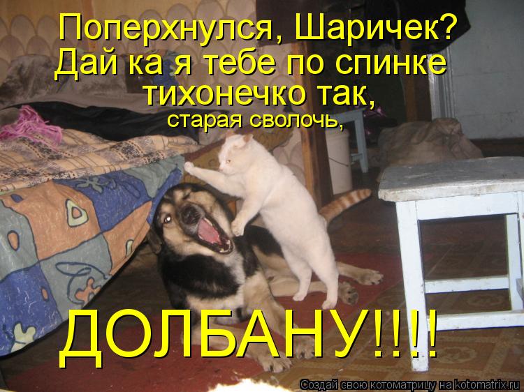 Поперхнулся, Шаричек? Дай ка я тебе по спинке тихонечко так, старая сволочь, ДОЛБАНУ!!!!... Котоматрица: Поперхнулся, Шаричек? Дай ка я тебе по спинке тихонечко так, старая сволочь, ДОЛБАНУ!!!!