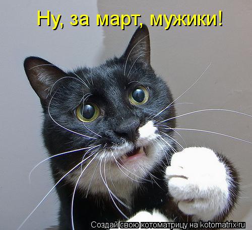 Ну, за март, мужики!... Котоматрица: Ну, за март, мужики!