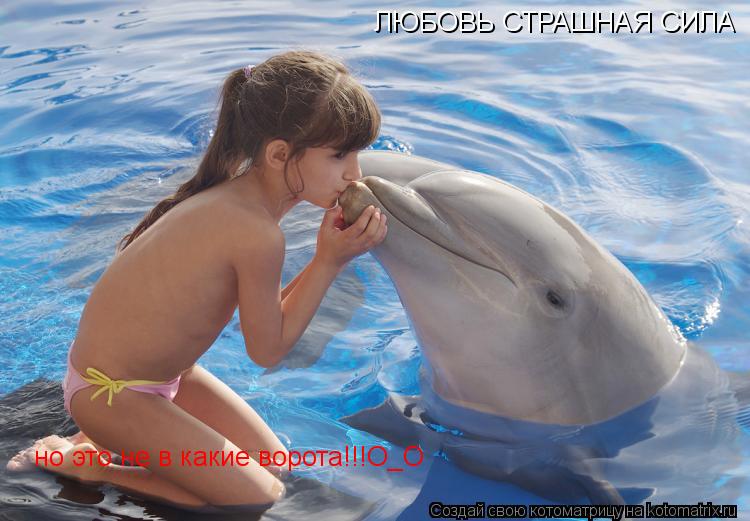 ЛЮБОВЬ СТРАШНАЯ СИЛА но это не в какие ворота!!!О_О... Котоматрица: ЛЮБОВЬ СТРАШНАЯ СИЛА но это не в какие ворота!!!О_О