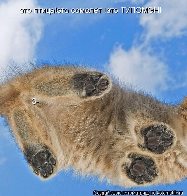 это птица!это сомолёт !это ТУПОМЭН! З-... Котоматрица: это птица!это сомолёт !это ТУПОМЭН! З-
