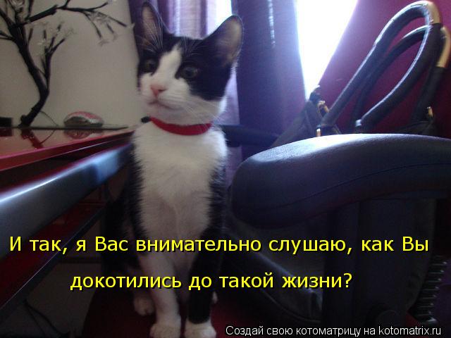 И так, я Вас внимательно слушаю, как Вы докотились до такой жизни?... Котоматрица: И так, я Вас внимательно слушаю, как Вы докотились до такой жизни?