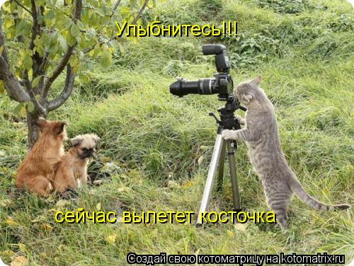 сейчас вылетет косточка Улыбнитесь!!!... Котоматрица: сейчас вылетет косточка Улыбнитесь!!!