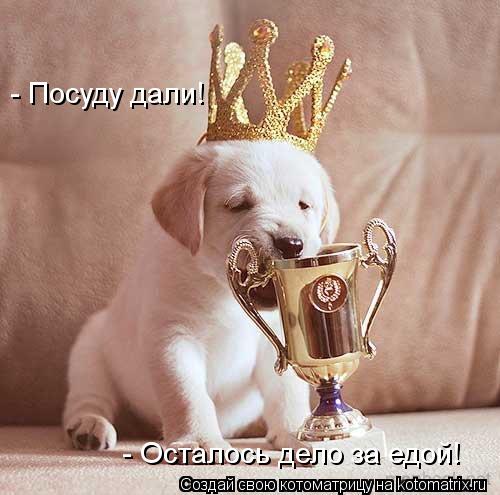 - Посуду дали! - Осталось дело за едой!... Котоматрица: - Посуду дали! - Осталось дело за едой!