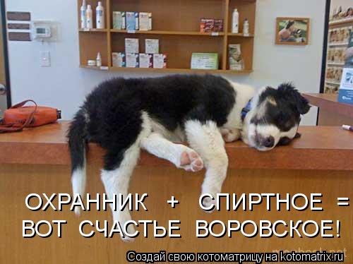 ВОТ СЧАСТЬЕ ВОРОВСКОЕ! ОХРАННИК + СПИРТНОЕ =... Котоматрица: ВОТ СЧАСТЬЕ ВОРОВСКОЕ! ОХРАННИК + СПИРТНОЕ =