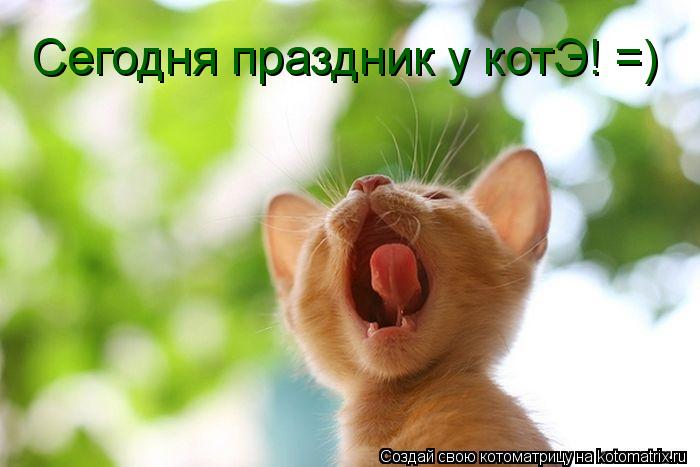 Сегодня праздник у котЭ! =)... Котоматрица: Сегодня праздник у котЭ! =)