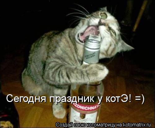 Сегодня праздник у котЭ! =)... Котоматрица: Сегодня праздник у котЭ! =)