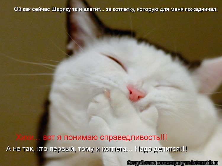 Ой как сейчас Шарику та и влетит... за котлетку, которую для меня пожадничал. Хихи... вот я понимаю с... Котоматрица: Ой как сейчас Шарику та и влетит... за котлетку, которую для меня пожадничал. Хихи... вот я понимаю справедливость!!! А не так, кто первый, тому и