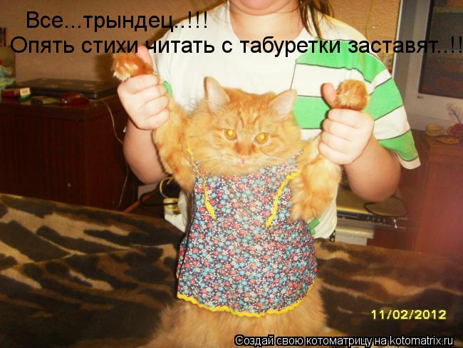 Все...трындец..!!! Опять стихи читать с табуретки заставят..!!... Котоматрица: Все...трындец..!!! Опять стихи читать с табуретки заставят..!!