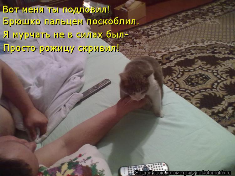Вот меня ты подловил! Брюшко пальцем поскоблил. Я мурчать не в силах был- Просто рожицу скривил!... Котоматрица: Вот меня ты подловил! Брюшко пальцем поскоблил. Я мурчать не в силах был- Просто рожицу скривил!