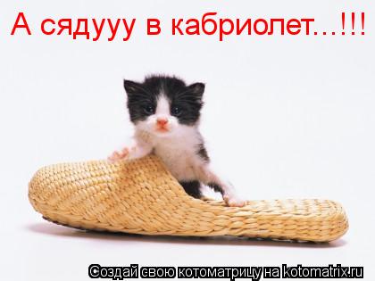 А сядууу в кабриолет...!!!... Котоматрица: А сядууу в кабриолет...!!!