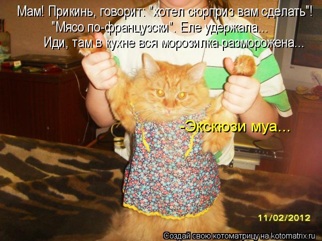 -Экскюзи муа... "Мясо по-французски". Еле удержала... Иди, там в кухне вся морозилка разморожена... М... Котоматрица: -Экскюзи муа... "Мясо по-французски". Еле удержала... Иди, там в кухне вся морозилка разморожена... Мам! Прикинь, говорит: "хотел сюрприз вам сдел