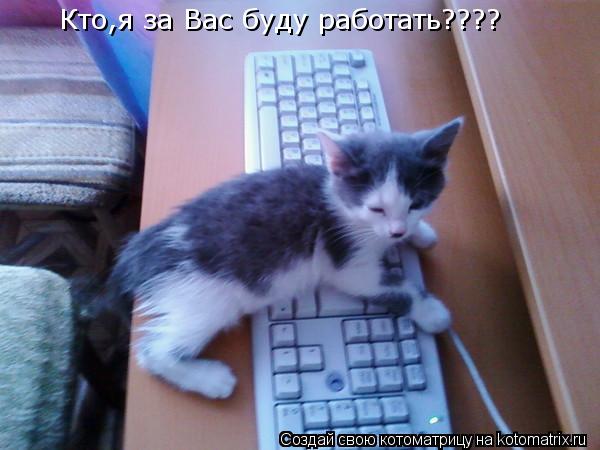 Кто,я за Вас буду работать????... Котоматрица: Кто,я за Вас буду работать????