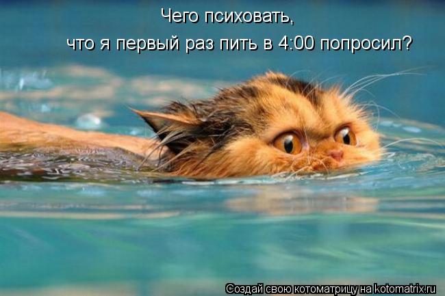 Чего психовать, что я первый раз пить в 4:00 попросил?... Котоматрица: Чего психовать, что я первый раз пить в 4:00 попросил?