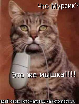 Что Мурзик? Это же мышка!!!! Это же мышка!!!!... Котоматрица: Что Мурзик? Это же мышка!!!! Это же мышка!!!!