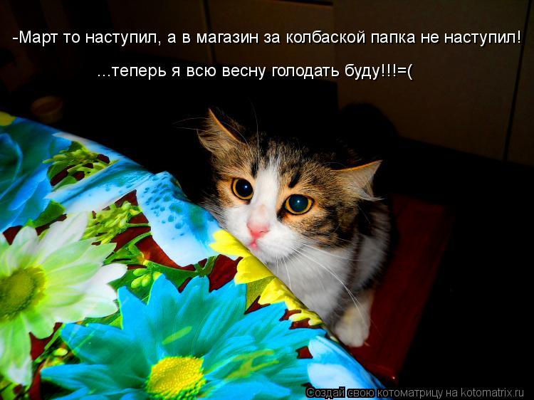 -Март то наступил, а в магазин за колбаской папка не наступил! ...теперь я всю весну голодать буду!!!... Котоматрица: -Март то наступил, а в магазин за колбаской папка не наступил! ...теперь я всю весну голодать буду!!!=(