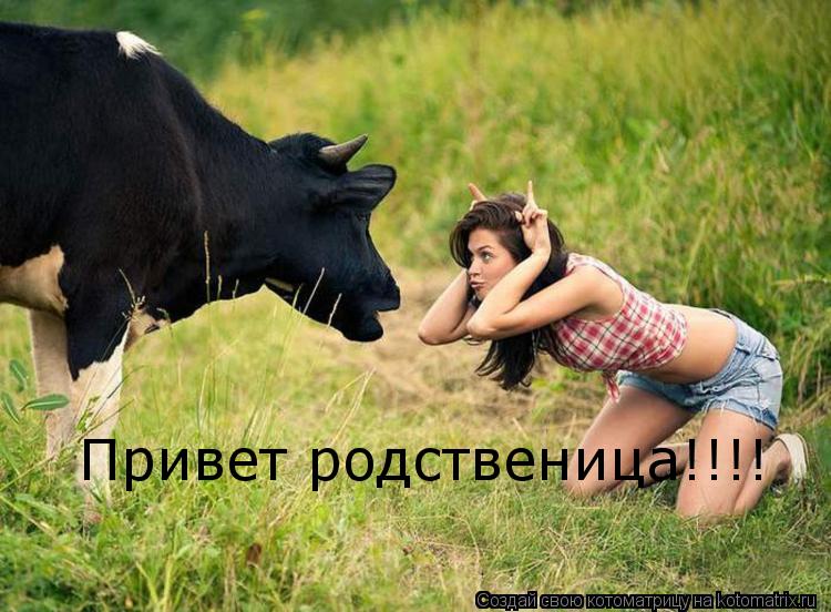 Привет родственица!!!!... Котоматрица: Привет родственица!!!!