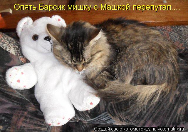 Опять Барсик мишку с Машкой перепутал....... Котоматрица: Опять Барсик мишку с Машкой перепутал....