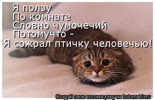 Я ползу По комнате Словно чумочечий Потомучто - Я сожрал птичку человечью!... Котоматрица: Я ползу По комнате Словно чумочечий Потомучто - Я сожрал птичку человечью!