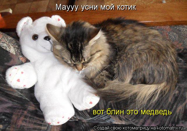 Маууу усни мой котик вот блин это медведь... Котоматрица: Маууу усни мой котик вот блин это медведь