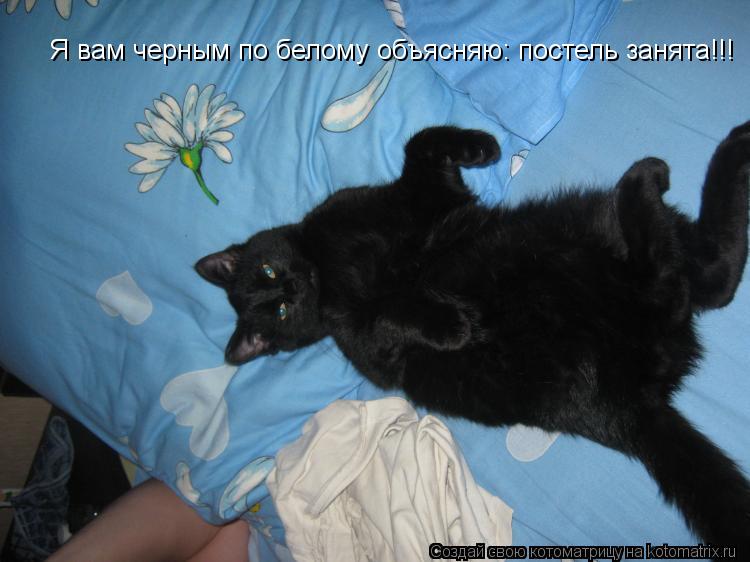 Я вам черным по белому объясняю: постель занята!!!... Котоматрица: Я вам черным по белому объясняю: постель занята!!!