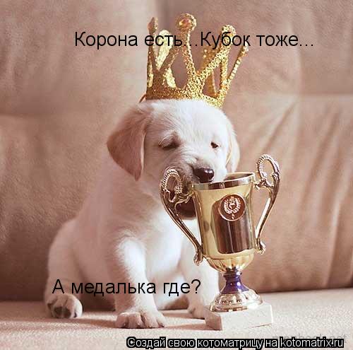 Корона есть...Кубок тоже... А медалька где?... Котоматрица: Корона есть...Кубок тоже... А медалька где?