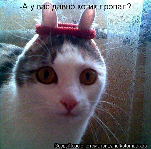 -А у вас давно котик пропал?... Котоматрица: -А у вас давно котик пропал?