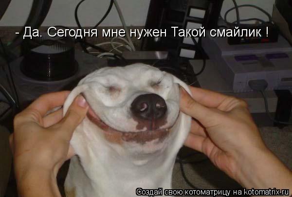 - Да. Сегодня мне нужен Такой смайлик !... Котоматрица: - Да. Сегодня мне нужен Такой смайлик !