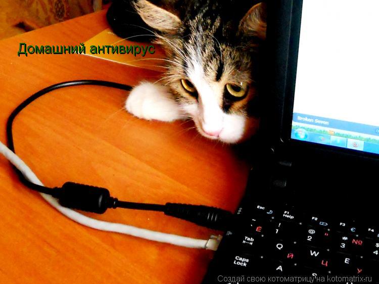 Домашний антивирус... Котоматрица: Домашний антивирус