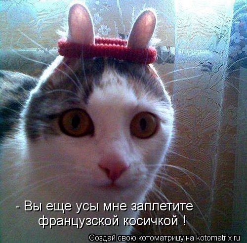 - Вы еще усы мне заплетите французской косичкой !... Котоматрица: - Вы еще усы мне заплетите французской косичкой !