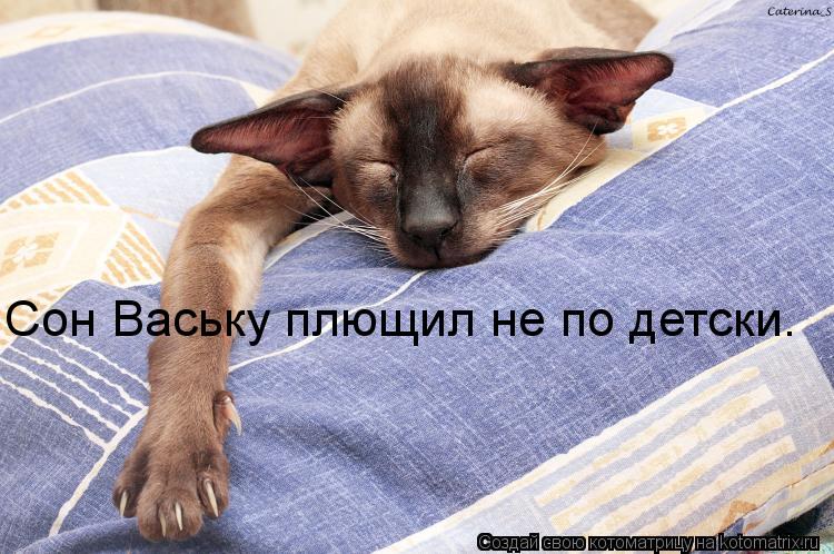 Сон Ваську плющил не по детски.... Котоматрица: Сон Ваську плющил не по детски.