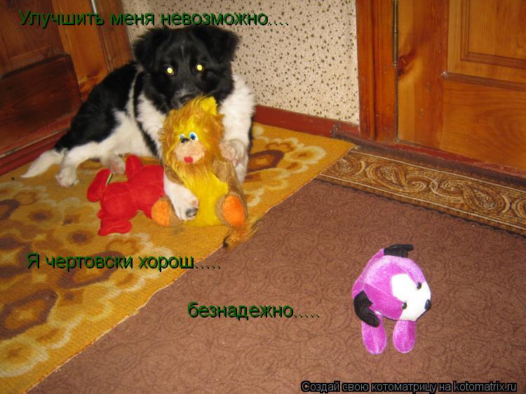 Улучшить меня невозможно.... Я чертовски хорош..... безнадежно........ Котоматрица: Улучшить меня невозможно.... Я чертовски хорош..... безнадежно.....