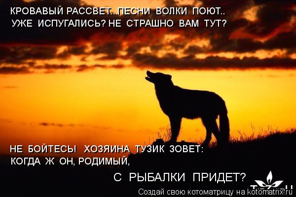 КРОВАВЫЙ РАССВЕТ...ПЕСНИ ВОЛКИ ПОЮТ.. УЖЕ ИСПУГАЛИСЬ? НЕ СТРАШНО ВАМ ТУТ? НЕ БОЙТЕСЬ! ХОЗЯИН... Котоматрица: КРОВАВЫЙ РАССВЕТ...ПЕСНИ ВОЛКИ ПОЮТ.. УЖЕ ИСПУГАЛИСЬ? НЕ СТРАШНО ВАМ ТУТ? НЕ БОЙТЕСЬ! ХОЗЯИНА ТУЗИК ЗОВЕТ: КОГДА Ж ОН, РОДИМЫЙ, С РЫБАЛК