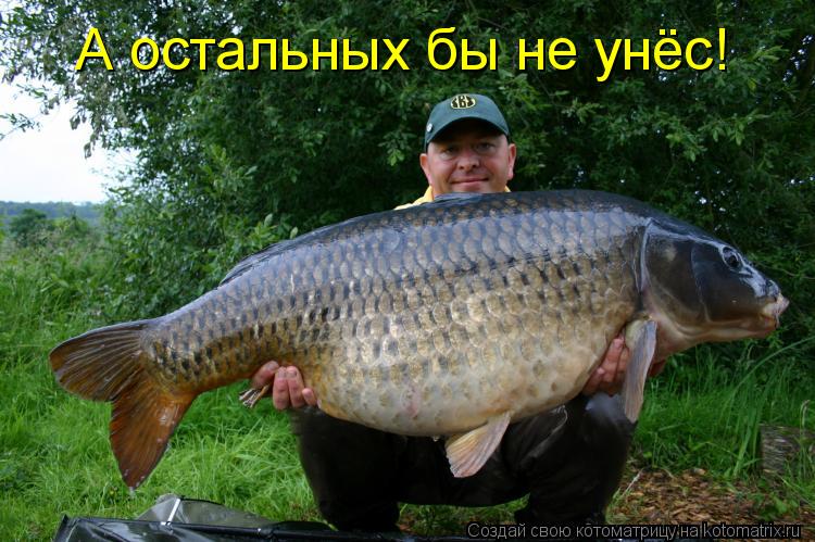 А остальных бы не унёс!... Котоматрица: А остальных бы не унёс!