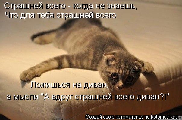 Страшней всего - когда не знаешь, Что для тебя страшней всего Ложишься на диван, а мысли:"А вдруг ст... Котоматрица: Страшней всего - когда не знаешь, Что для тебя страшней всего Ложишься на диван, а мысли:"А вдруг страшней всего диван?!"