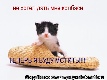 не хотел дать мне колбаси ТЕПЕРЬ Я БУДУ МСТИТЬ!!!!!... Котоматрица: не хотел дать мне колбаси ТЕПЕРЬ Я БУДУ МСТИТЬ!!!!!