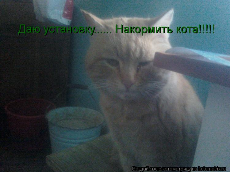 Даю установку...... Накормить кота!!!!!... Котоматрица: Даю установку...... Накормить кота!!!!!
